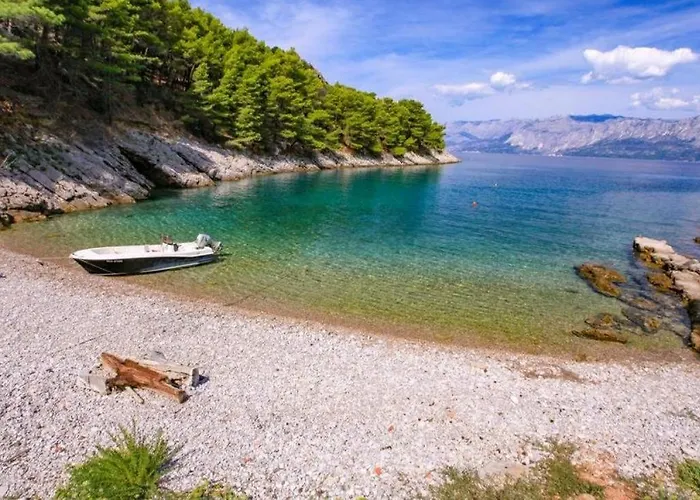 度假居 Robinson Divja *