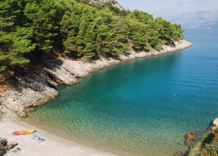 Robinson Divja 度假居