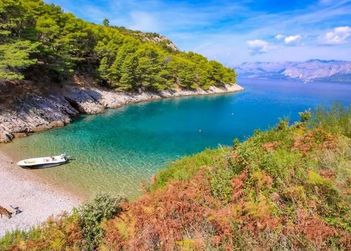 Robinson Divja * Sućuraj