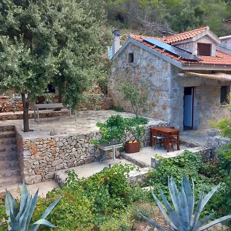 Robinson Divja Sućuraj