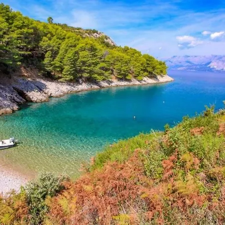 Robinson Divja * Sućuraj