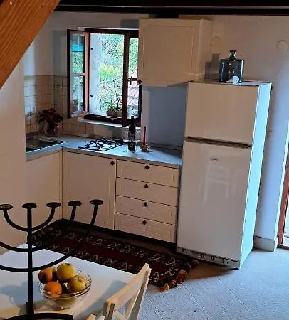 Robinson Divja Sućuraj