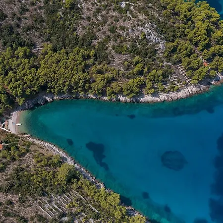 Robinson Divja * Sućuraj