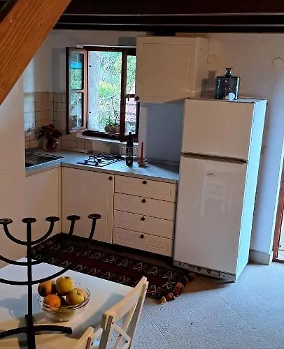 Robinson Divja Sućuraj