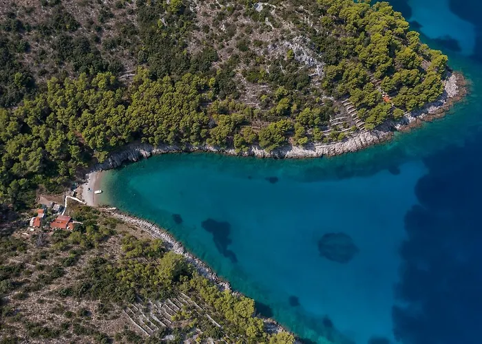 Robinson Divja * Sućuraj