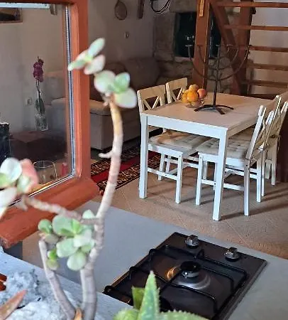 Сasa de vacaciones Robinson Divja *